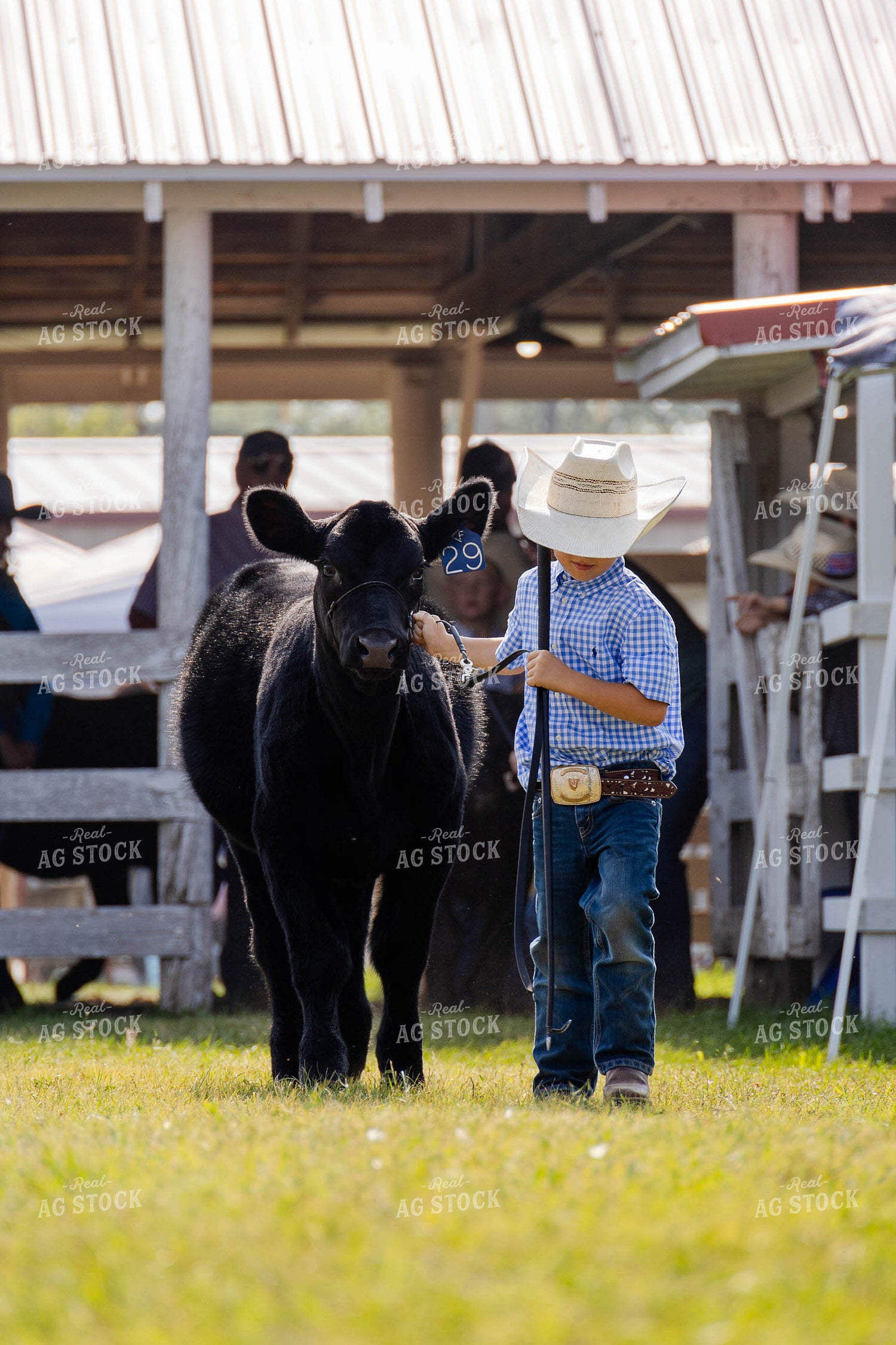 Young Cowboy at Cattle Show 97188
