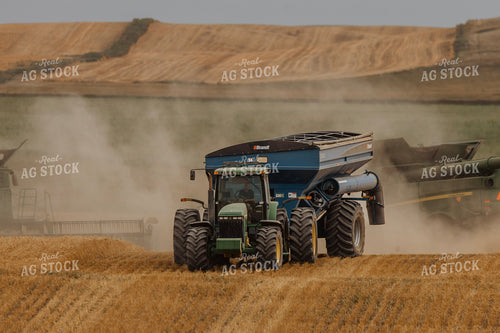 Wheat Harvest 187191