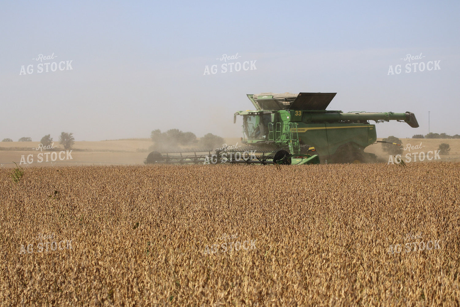 Soybean Harvest 82171