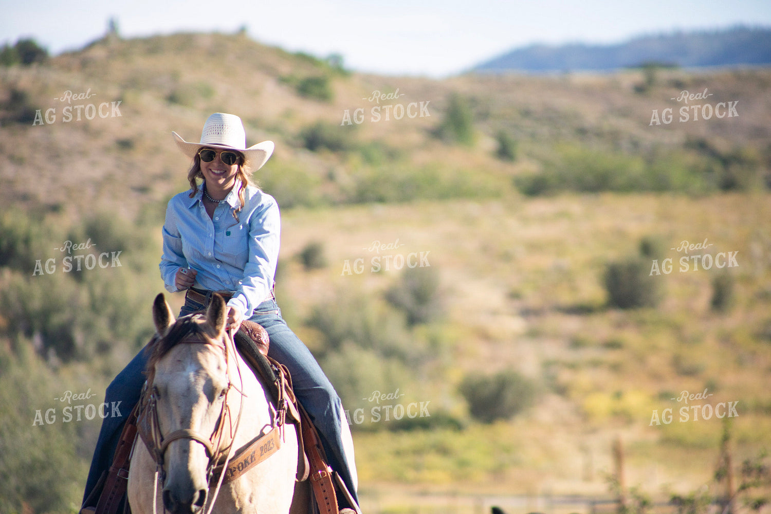 Cowgirl on Horseback 117382