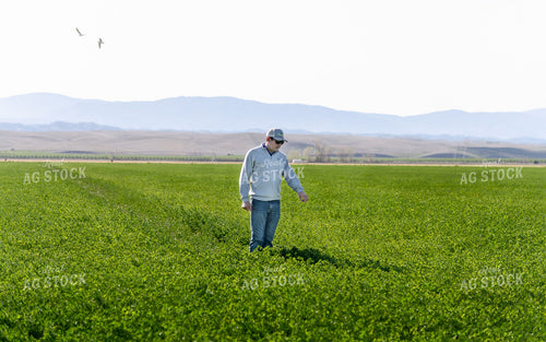 Farmer in Field 107014