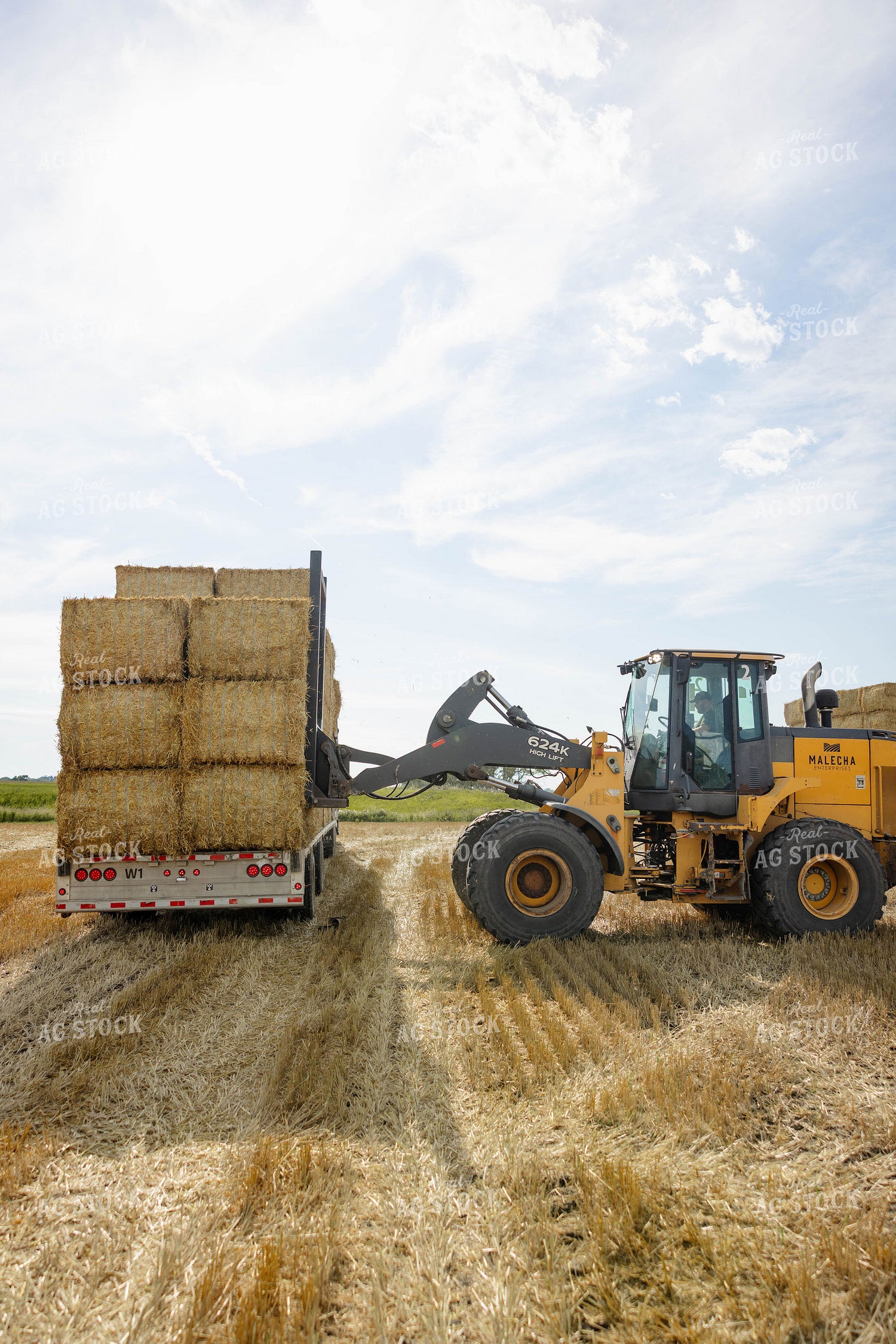 Loading Wheat Straw Bales 296082