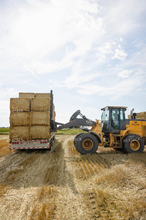 Loading Wheat Straw Bales 296082