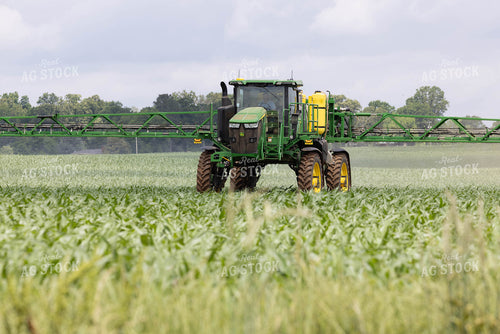 Spraying 79656
