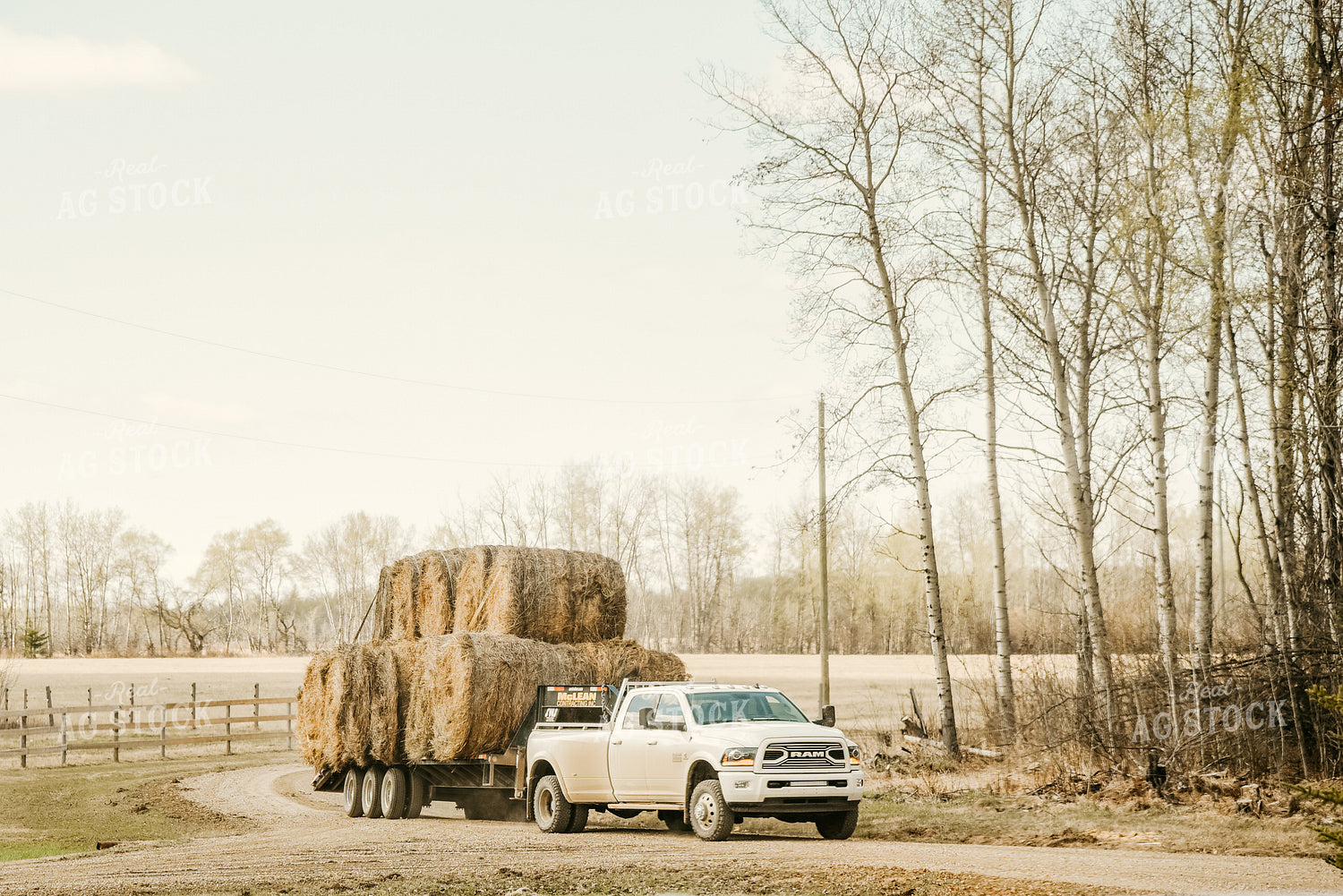 Round Hay Bales on Trailer 64124