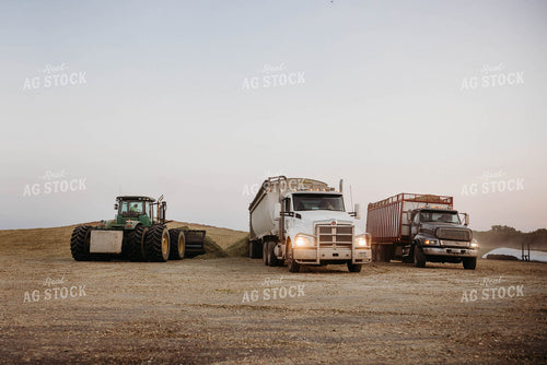 Dumping Silage 152059