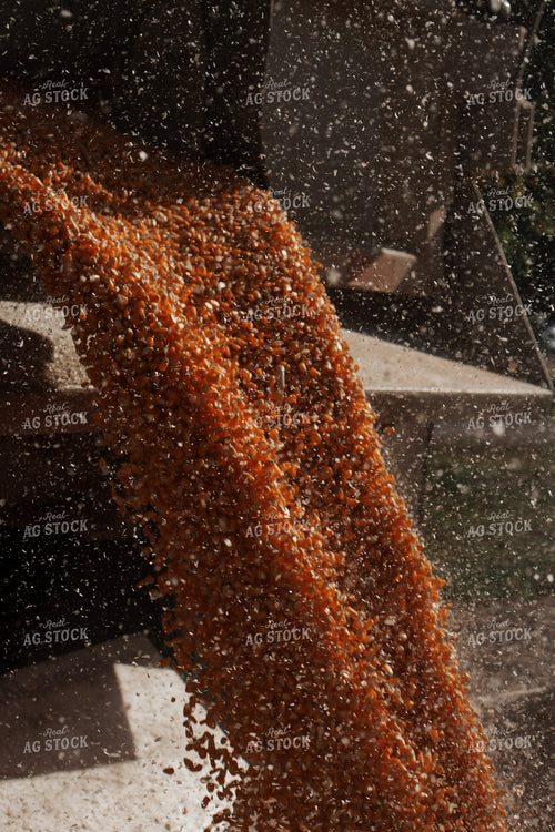 Filling Grain Bin 289012