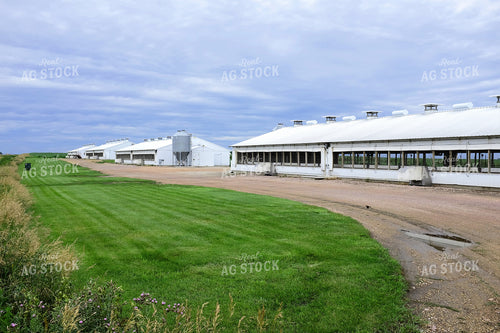 Swine Barns 154093