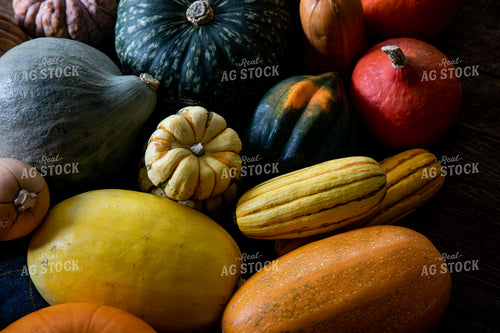 Winter Squash 276064