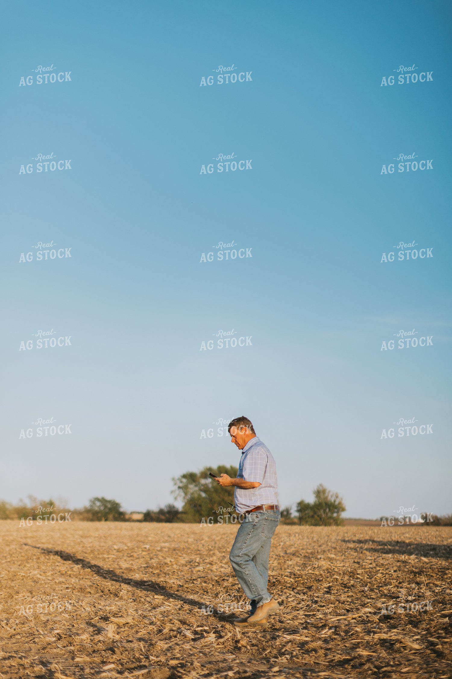 Farmer Walks in Field While Looking at Phone 7707