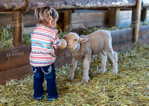 Farm Kid Bottle Feeding Lamb 65173