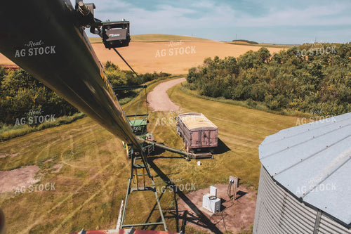 Unloading Grain into Auger 187359