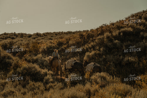 Rancher on Horseback 58300