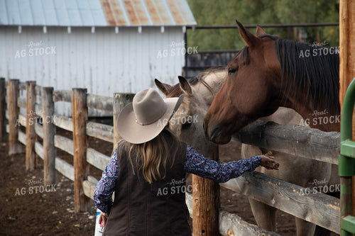 Female Rancher Feeding Horses 117094