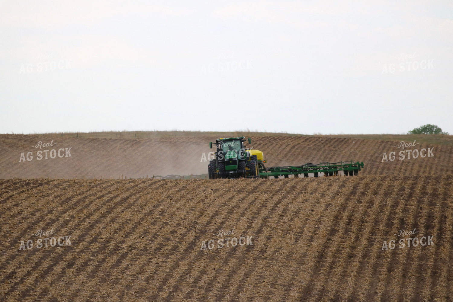 Planting in No Till Field 82399