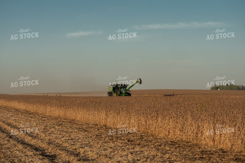Soybean Harvest 274012