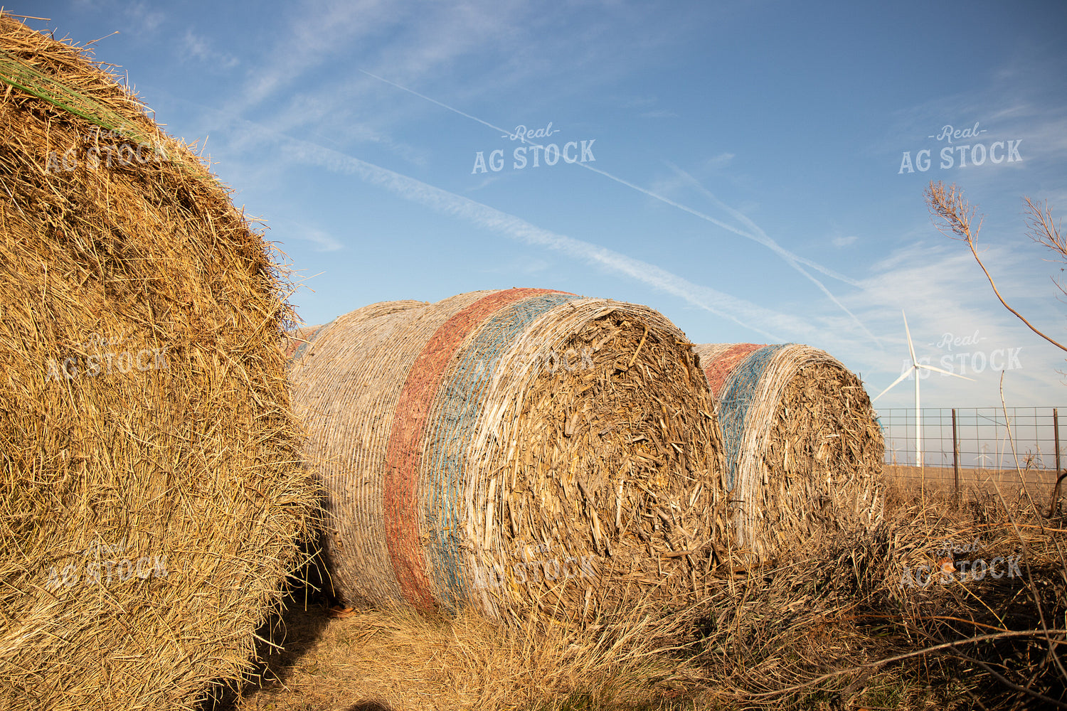 Round Corn Stalk Bales 67232