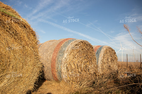 Round Corn Stalk Bales 67232