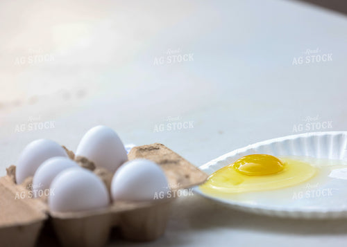 Showing Eggs 160129
