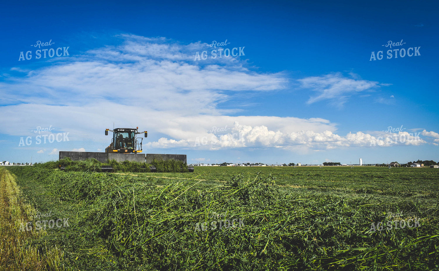 Raking Hay 56058