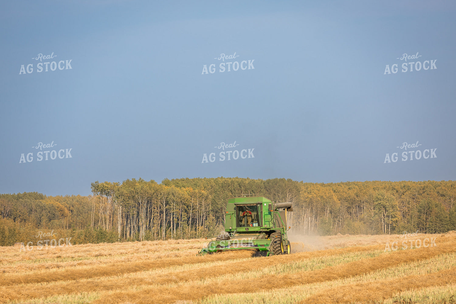 Making Straw 138070