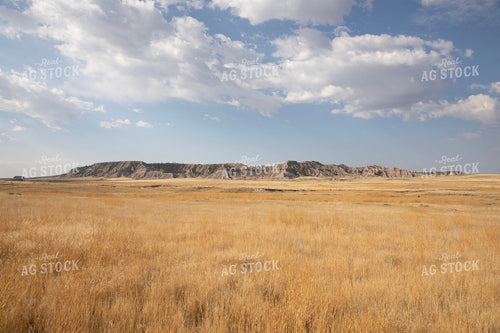 Mountain Pasture Scenery 117078