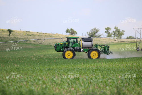Spraying 82516