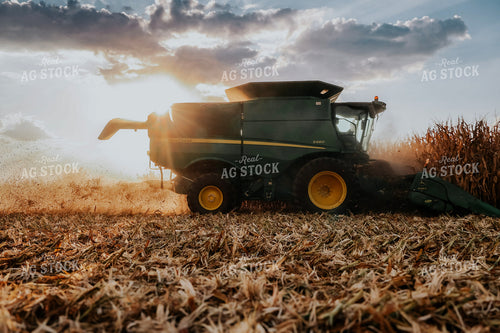 Corn Harvest 289003