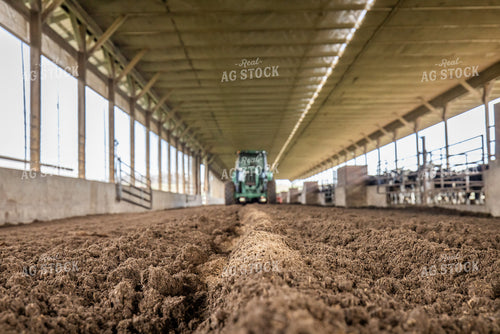 Laying Compost Bedding in Dairy Barn 270054