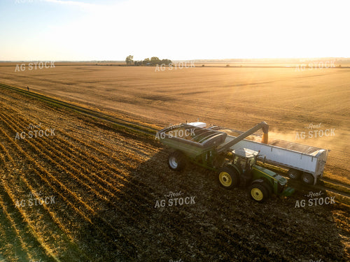 Aerial of Corn Harvest 115571