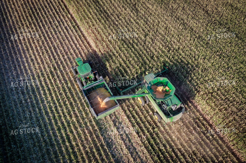 High Moisture Shell Corn Harvest Drone 56174