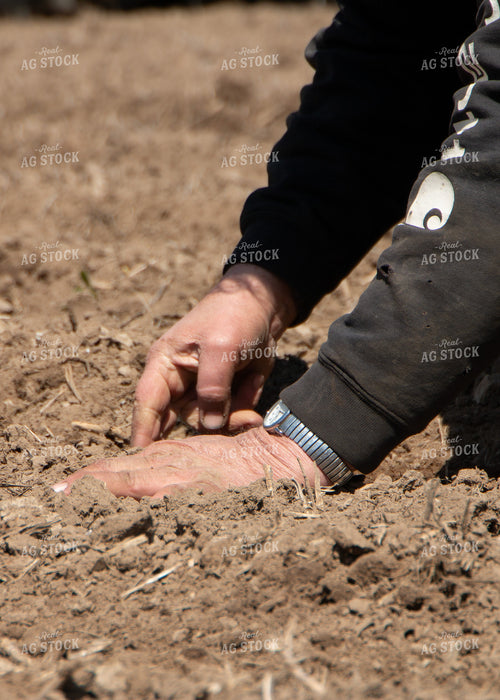 Farmer Checking Seed Depth 157293