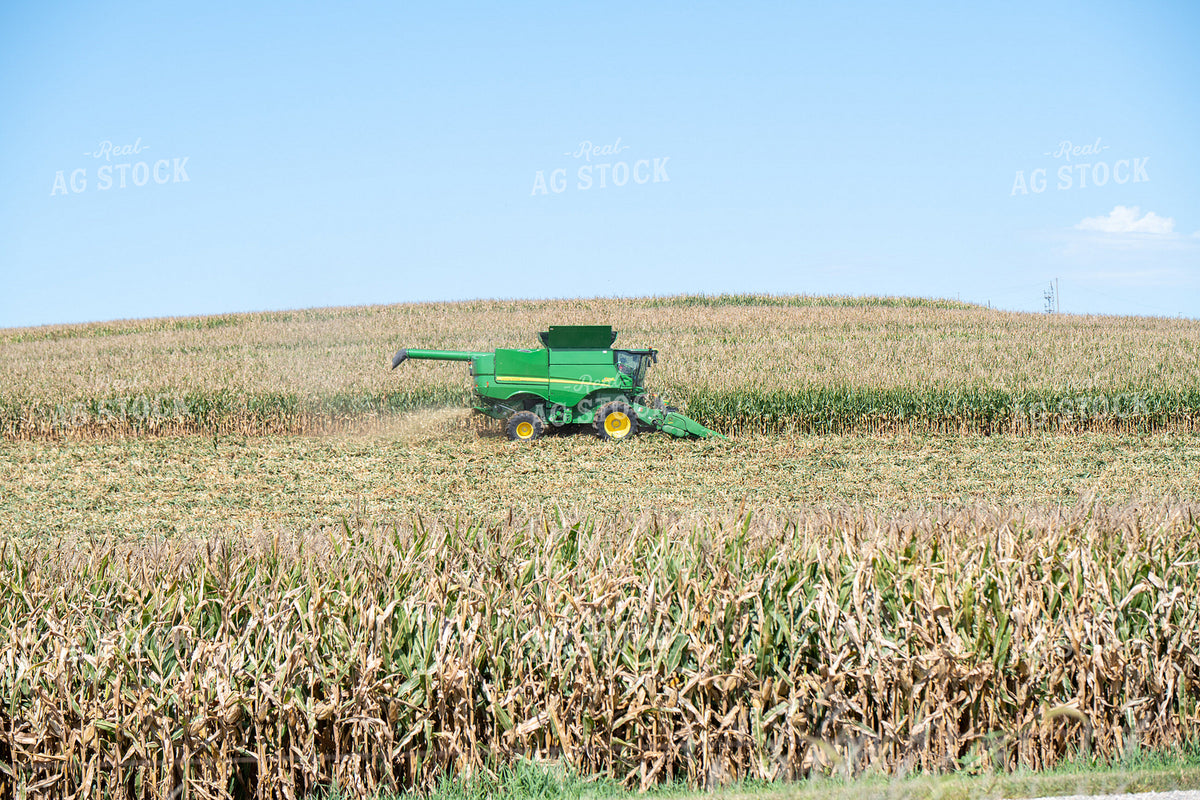Corn Harvest 193118