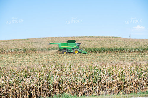 Corn Harvest 193118