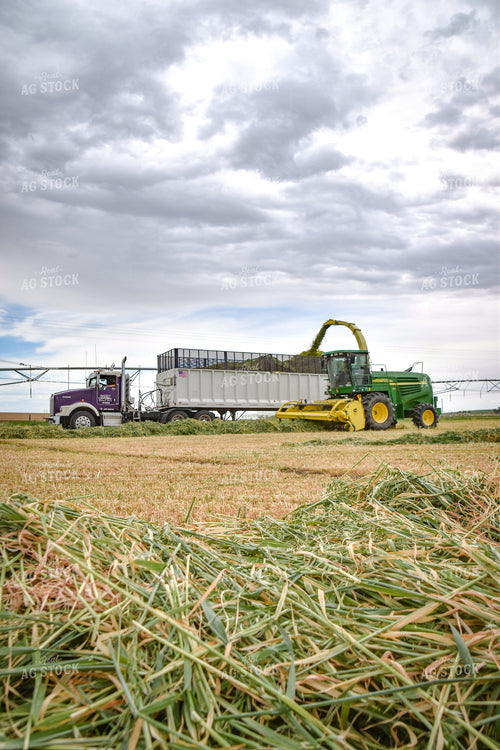Making Haylage 56434