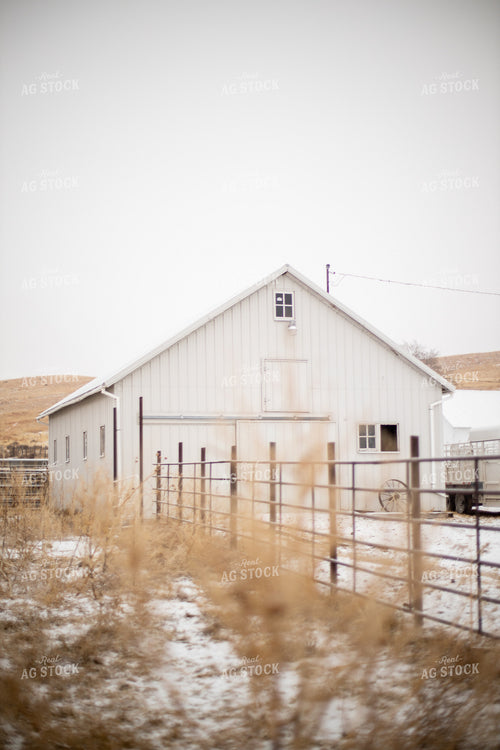 Barn in Winter 71002