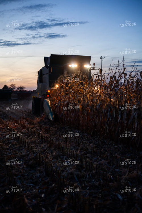 Corn Harvest 132108