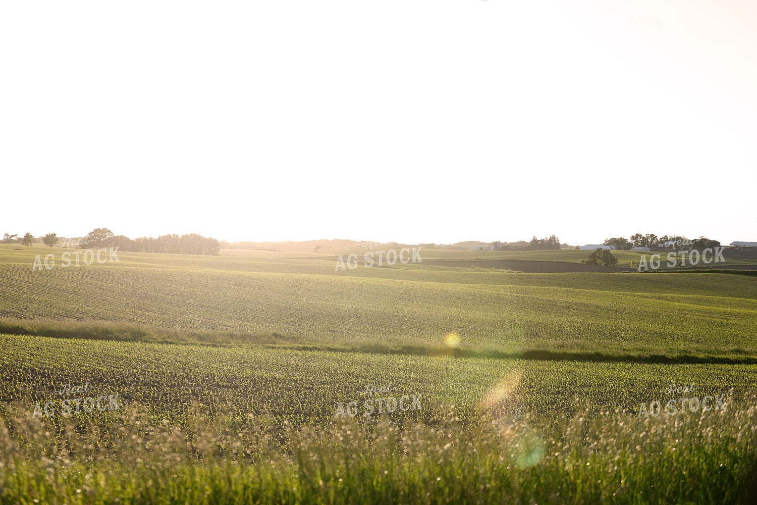 Scenic Landscape 129083