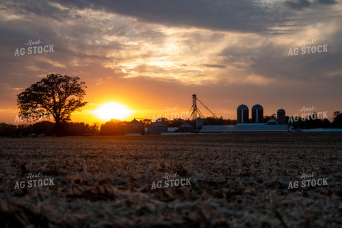Farmstead Landscape 157007