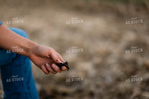 Female Farmer Taking Soil Sample 8385