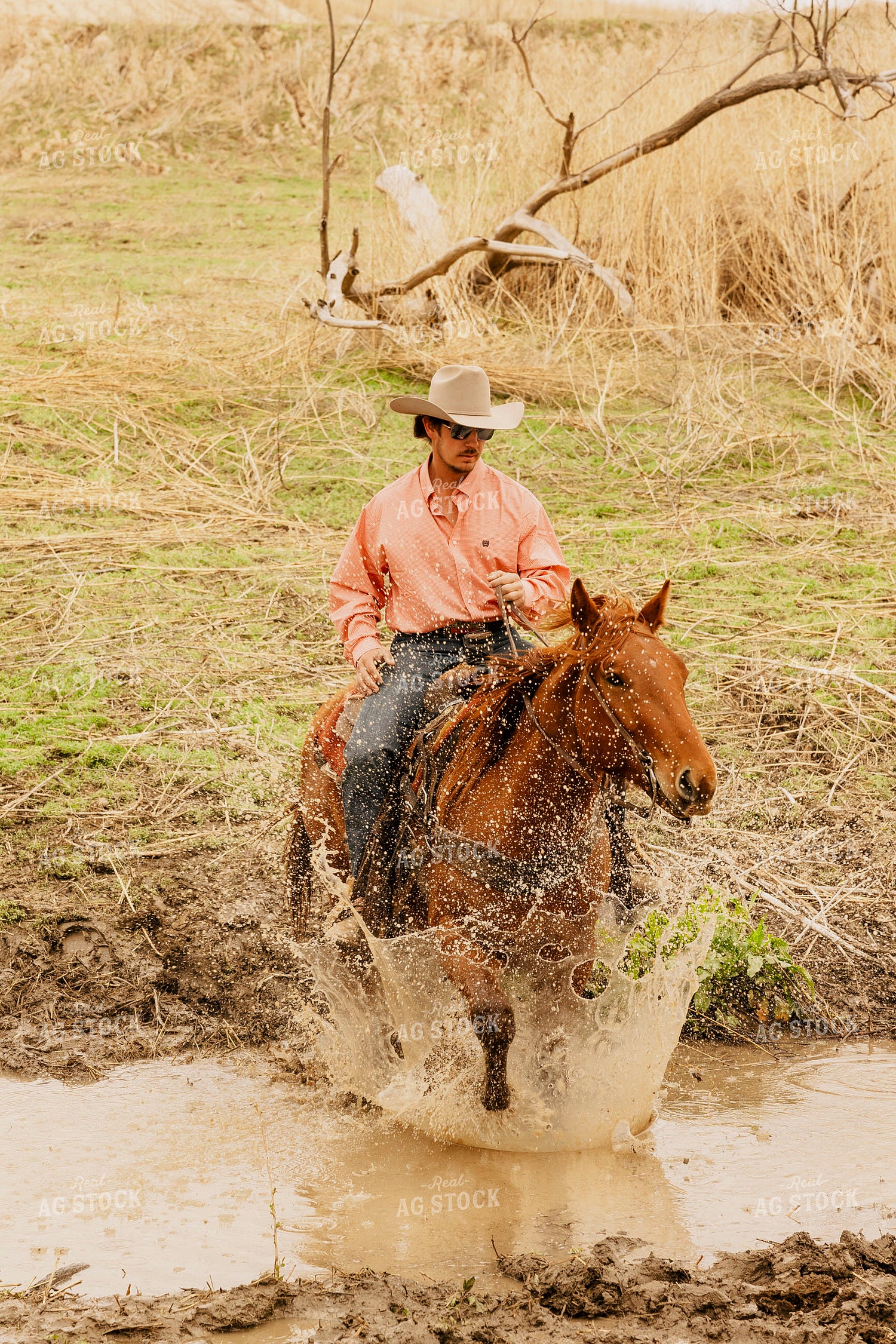 Rancher on Horseback 207028