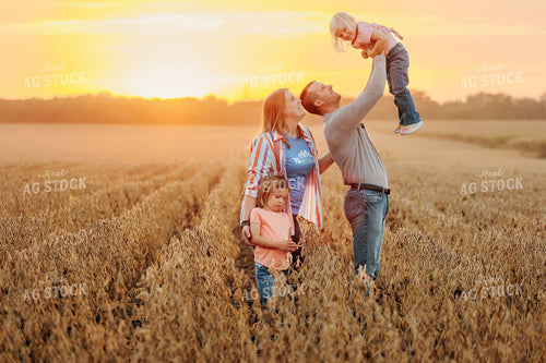 Farm Family in Dried Soybean Field at Sunset 161185