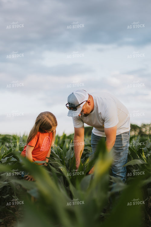 Farmer and Daughter Checking Corn 8804