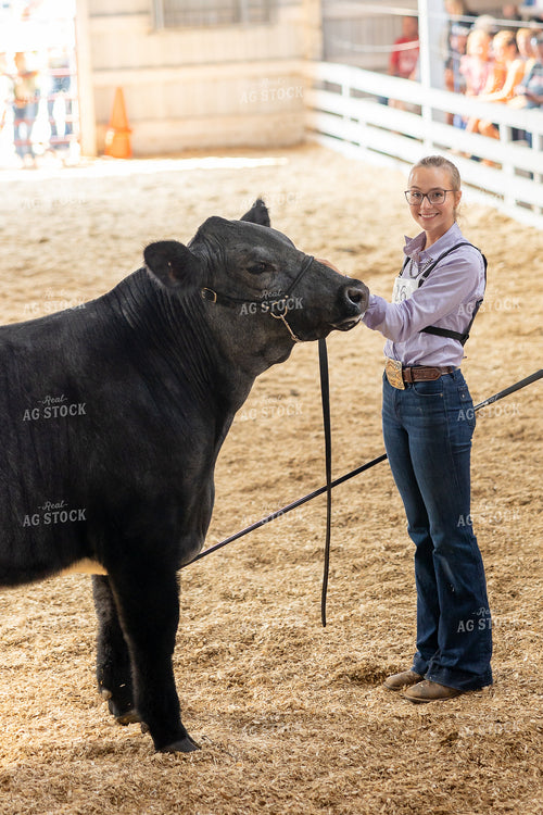 Showing Cattle 194062
