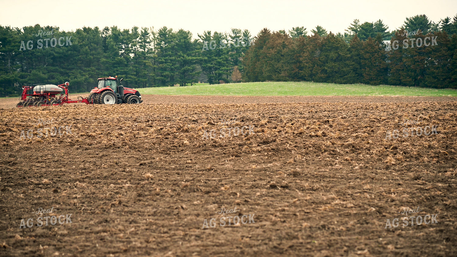 Planting into Tilled Cover Crops 25126