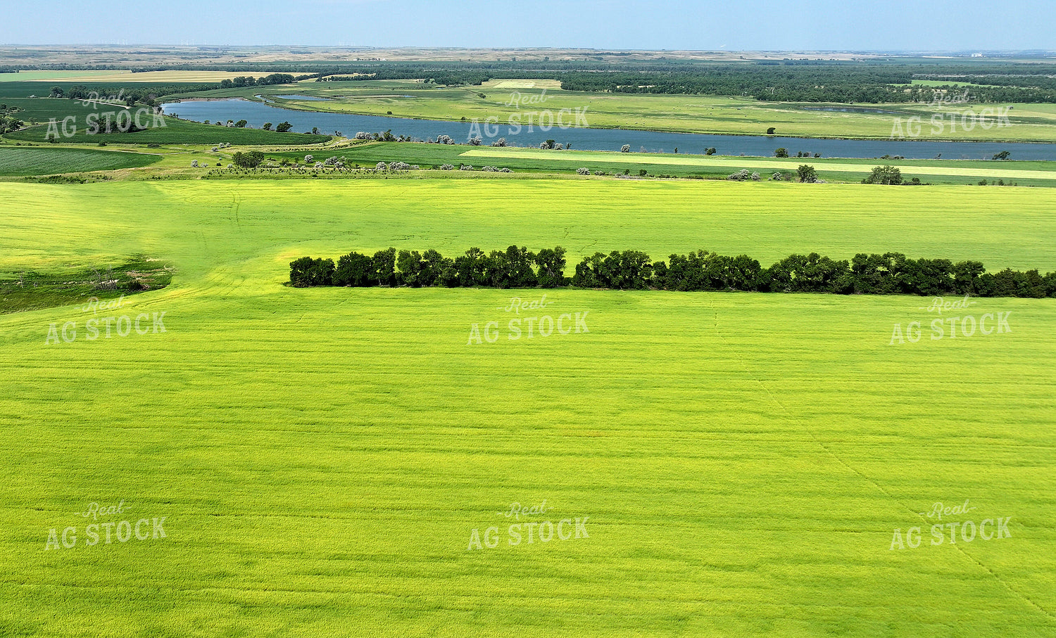Aerial of Fields Along the River 141643