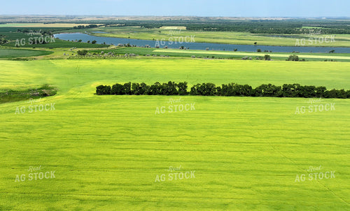 Aerial of Fields Along the River 141643