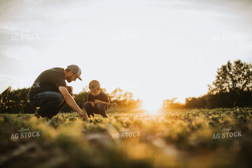 Farmer and Son in Field 6901