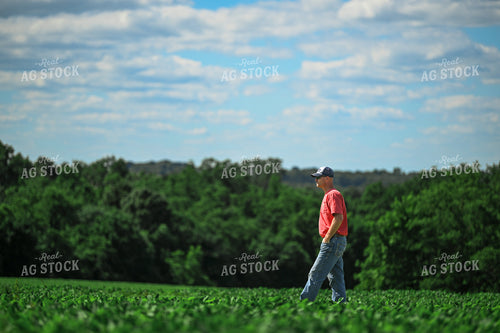 Farmer Scouting Soybean Field 191318