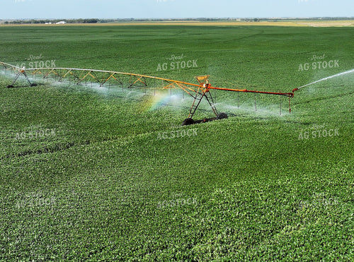 Aerial of Center Pivot Irrigation System 141748